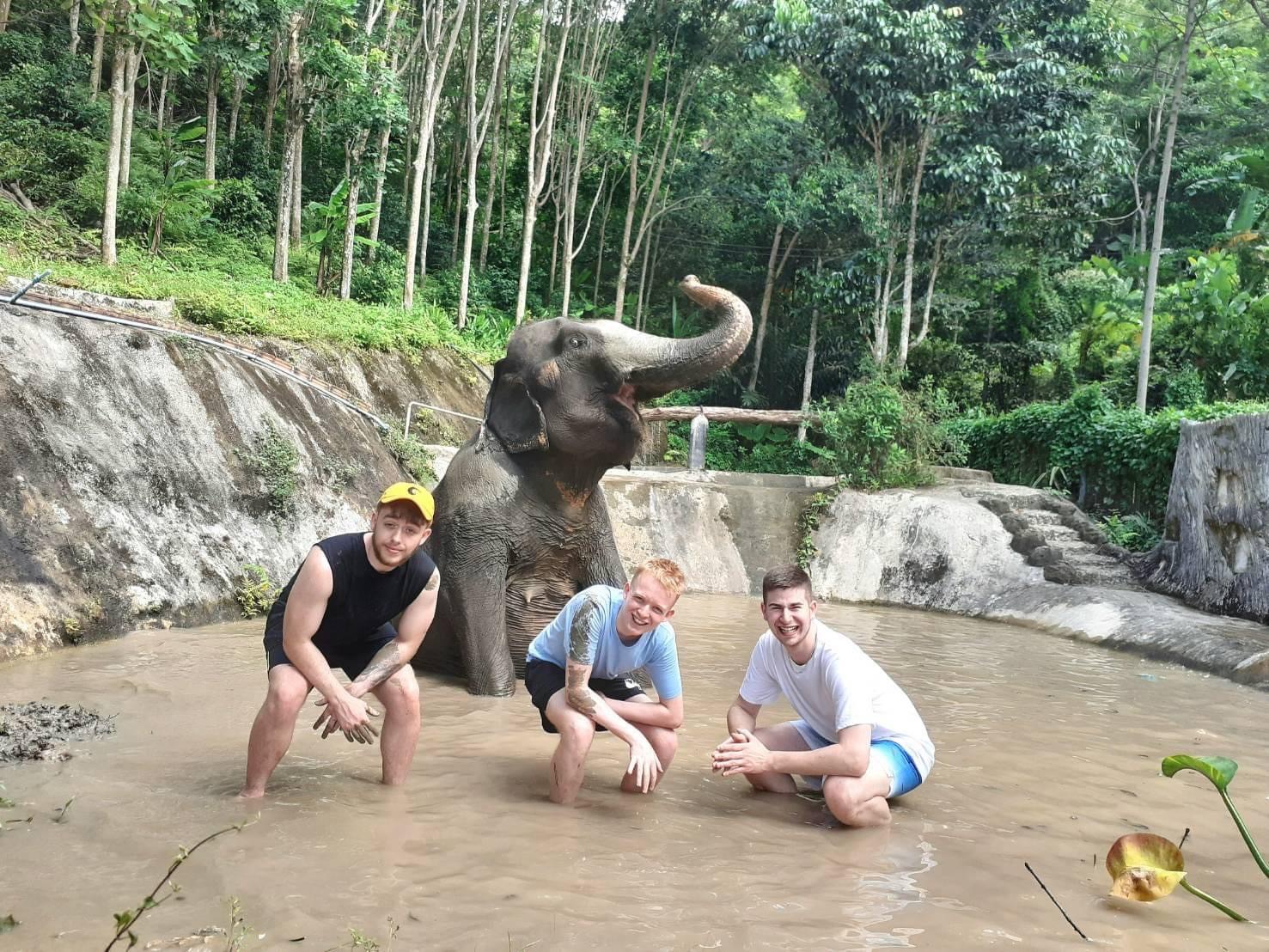 chalong elephant retirement